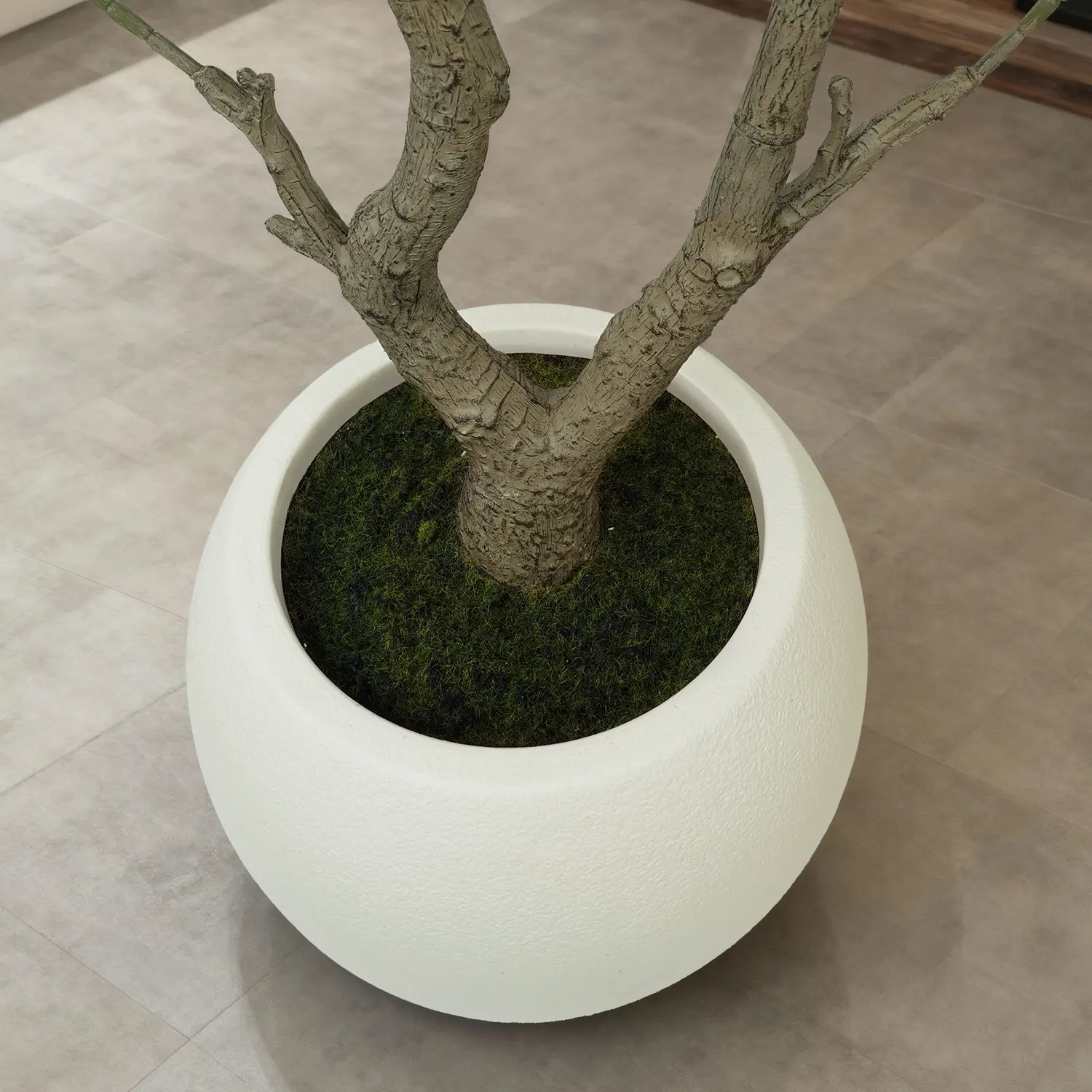 Premium Faux Olive Tree with Thick Natural Trunk (150cm - 240cm Deluxe Plant) - Image 7